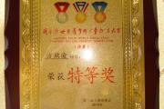 兰亭奖、小艺术家杯作者获奖奖牌展示